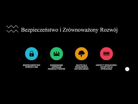 Rentowność energetyki jądrowej w XXI wieku - Krystian Rymkiewicz